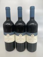 2002 Saffredi Fattoria Le Pupille - Maremma Toscane IGT - 3, Nieuw