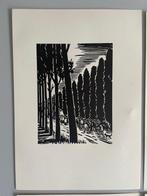 Frans Masereel (1889-1972) - Mijn Land - (6), Antiek en Kunst