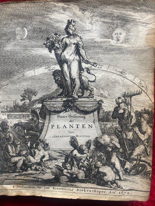 Abraham Munting - Waare oeffening der planten, waar in de, Antiek en Kunst, Antiek | Boeken en Manuscripten