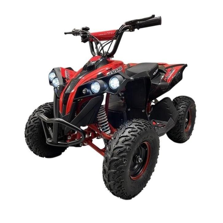 48 volt elektrische Quad met 1000 watt aandrijving, Kinderen en Baby's, Speelgoed | Buiten | Accuvoertuigen, Ophalen of Verzenden