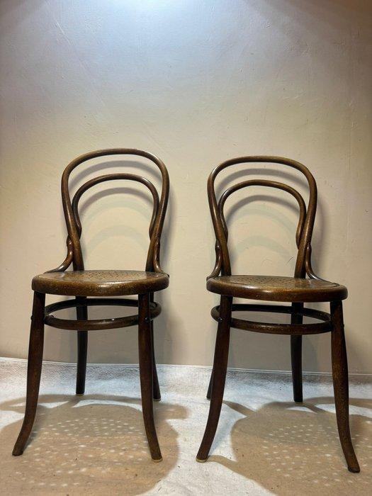 Fauteuil - Elegante Thonet-stijl gebogen Fauteuils met, Antiek en Kunst, Curiosa en Brocante