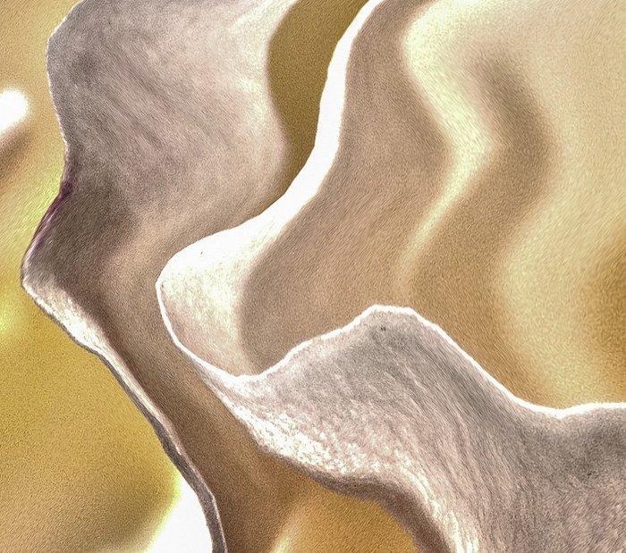 Bruno Paolo Benedetti - Rough Orange, Antiek en Kunst, Kunst | Designobjecten