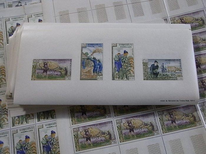 Laos 1963 - Wereldwijde campagne tegen de honger -, Postzegels en Munten, Postzegels | Azië
