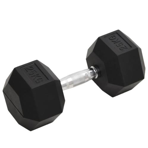 vidaXL Halters 25 kg gietijzer, Sport en Fitness, Fitnessmaterialen, Nieuw, Verzenden