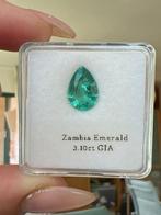 1 pcs Groen Smaragd - 3.10 ct - Gemological Institute of, Nieuw