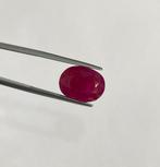 Zonder Minimumprijs Rood Robijn - 9.20 ct - Lotus Gemology -, Nieuw