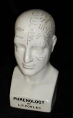 Hoofd ornament - Model Phrenology Hoofd - Dr. L.N.Fowler