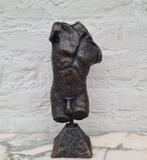 Beeldje - Male bust - IJzer, Antiek en Kunst