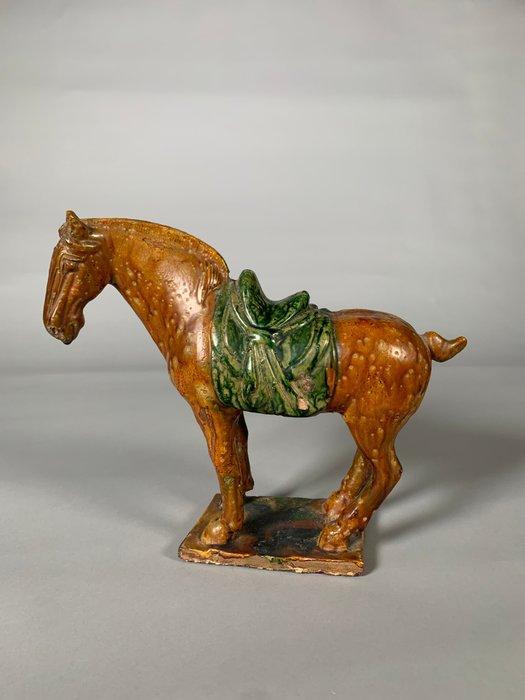 Oud Chinees, Tang-dynastie Terracotta paard - 30 cm, Collections, Minéraux & Fossiles