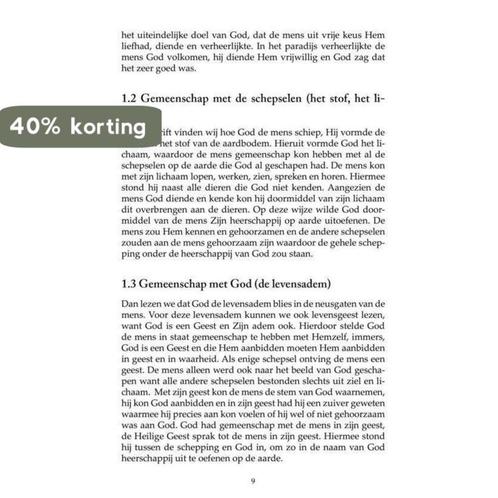 Het Goddelijk Leven 9789086030316 Johan Tichelaar, Boeken, Overige Boeken, Zo goed als nieuw, Verzenden
