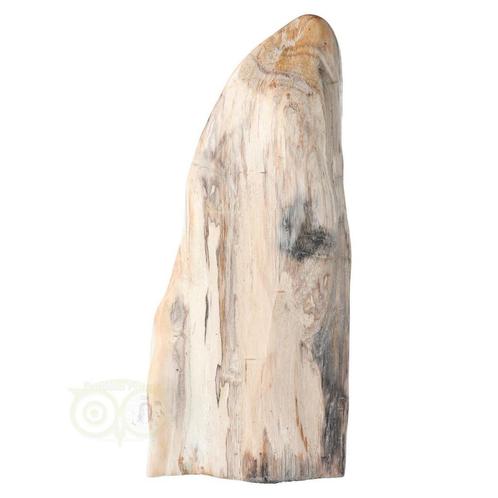Versteend hout sculptuur nr 54 - 4595 gram, Handtassen en Accessoires, Edelstenen, Nieuw, Verzenden