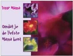 Kaart Omdat je de Liefste Mama Bent, Huis en Inrichting, Woonaccessoires | Kunstplanten en Kunstbloemen, Nieuw