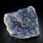 2352g Museumstuk TOURNESOL-BLAUWE TANZANITEN FLUORIET met, Verzamelen