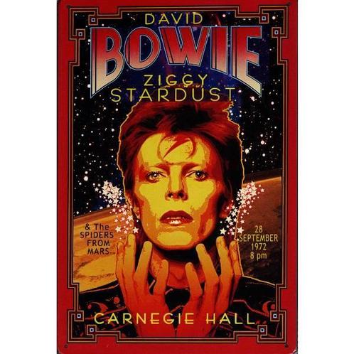 Wandbord reclamebord schild Bowie Ziggy colour bord, Verzamelen, Retro, Huis en Inrichting, Verzenden