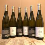 2024 Tramin, Gewurztraminer Selida - Alto Adige DOC - 6, Collections