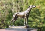 sculptuur, staande greyhound - 25 cm - brons marmer