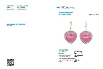 Hangoorbellen - 14 karaat Geel goud - 42.51ct. tw.