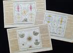World Map - [LOT van 3] - Chronologische kaart /, Boeken, Nieuw
