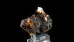 Wulfenite sur dolomite - Mine de Tsumeb, Oshikoto, Namibie -
