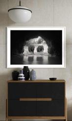 Rudy barret - Elephant Temple - XL