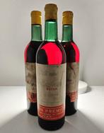 NV Castell del Remey, Extra 1900s - J. Girona - Lleida, Nieuw