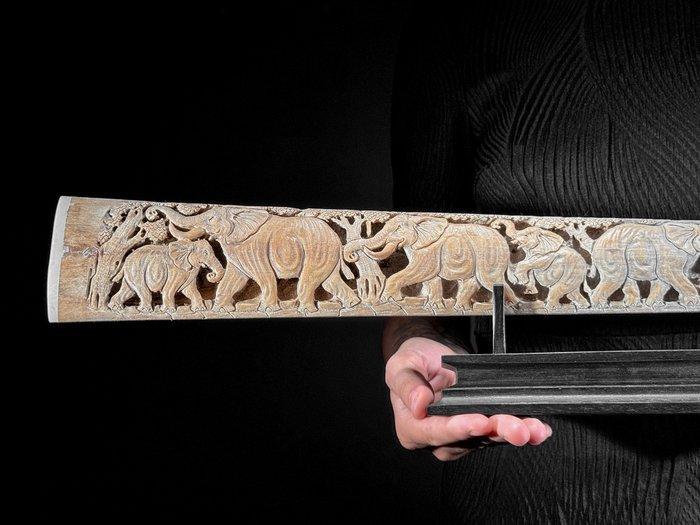 Geen minimale prijs - Fijn groot zwaardvishaals op een, Antiek en Kunst, Kunst | Designobjecten