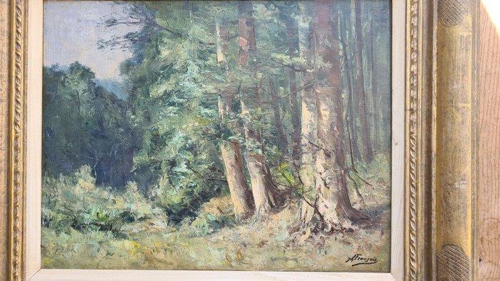 Joseph Charles François (1851-1940) - Clairière en forêt, Antiek en Kunst, Kunst | Schilderijen | Klassiek