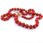 Collier - 18 carats Or jaune Corail, Nieuw
