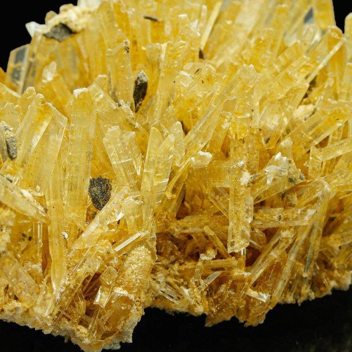 XXL Zeldzaam Oranje en Groene Gipsgras Kristalcluster -, Verzamelen, Mineralen en Fossielen