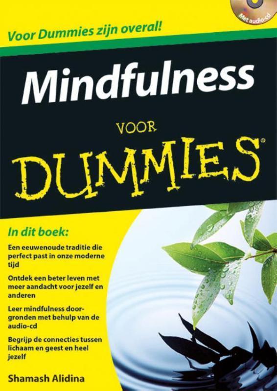 Mindfulness voor Dummies / Voor Dummies 9789045351810, Boeken, Psychologie, Zo goed als nieuw, Verzenden