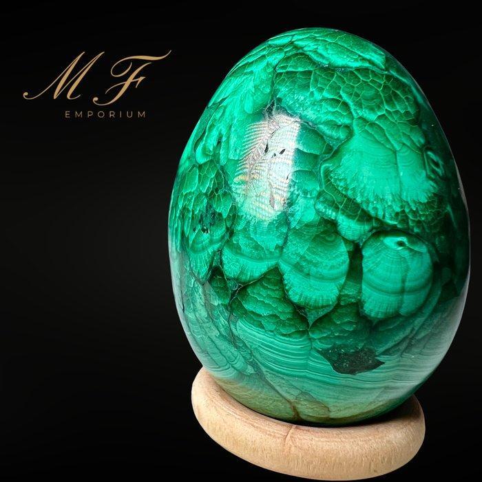 Ei van natuurlijke malachiet uit Congo van de hoogste, Collections, Minéraux & Fossiles