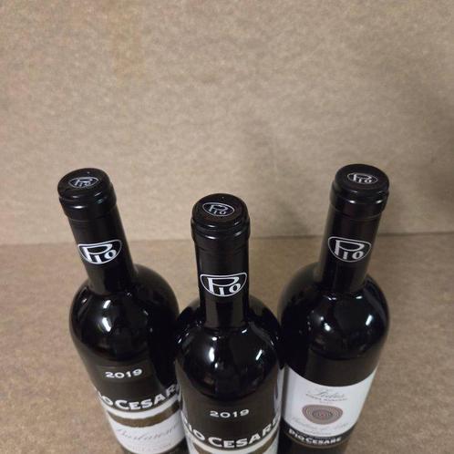 2019 Barolo, 2019 Barbaresco, 2021 Fides Barbera, Pio Cesare, Verzamelen, Wijnen