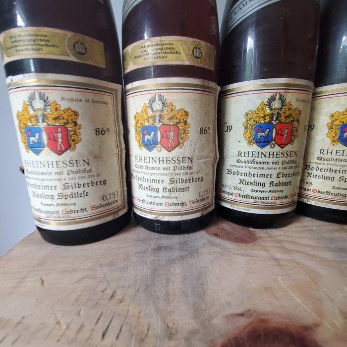 1986 x2, 1987, 1988 Bodenheimer & 1981 x2 Bensheimer -, Collections, Vins