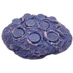 Achilles Frag Hub M Fiji