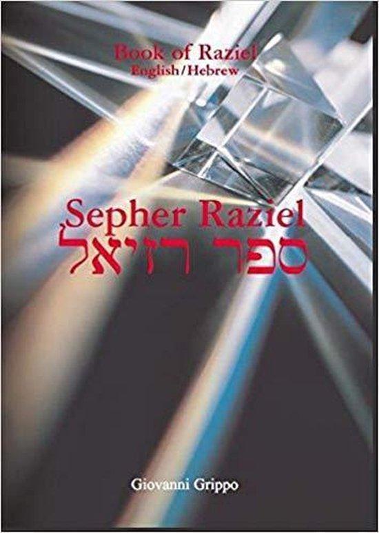 Book Of Raziel: Sepher Raziel Ha Malakh 9783981062274, Boeken, Taal | Engels, Zo goed als nieuw, Verzenden
