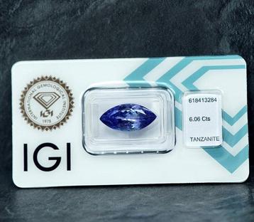 Tanzanite - 6.06 ct - International Gemological Institute