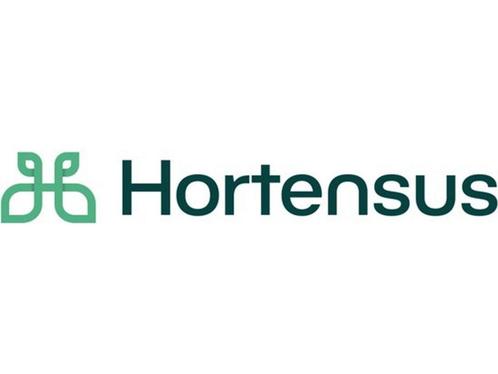 Hortensus - Extra onderdelen Hortensus - Voet - Ledparasol, Huis en Inrichting, Woonaccessoires | Overige, Nieuw, Verzenden