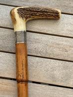 Wandelstok (3) - met hertshoorn handgrepen
