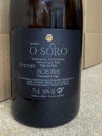 2020 Rafael Palacios, Sorte O Soro - Valdeorras - 1 Fles, Nieuw