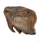 2,1 kg Fossiele Wolharige Mammoetkies - Fossiele kies -, Verzamelen, Mineralen en Fossielen