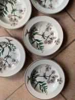 Villeroy & Boch - Schotel (5) - Keramiek - Botanisch, Antiek en Kunst