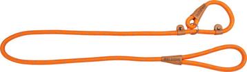 School leash Oranje