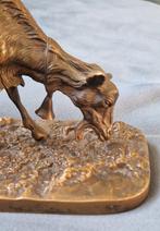 Jean Carlier - Sculpture, Chevre broutant en bronze - 14.5, Antiek en Kunst