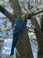 Ornement décoratif (2) - Set van twee gietijzeren papegaaien