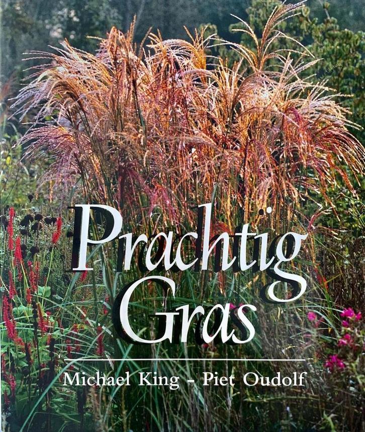 Prachtig gras 9789062556960 M. King, Boeken, Hobby en Vrije tijd, Gelezen, Verzenden