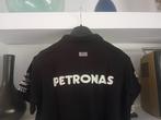 Mercedes AMG Petronas F1 Team - Lewis Hamilton - 2017 - Pool, Nieuw