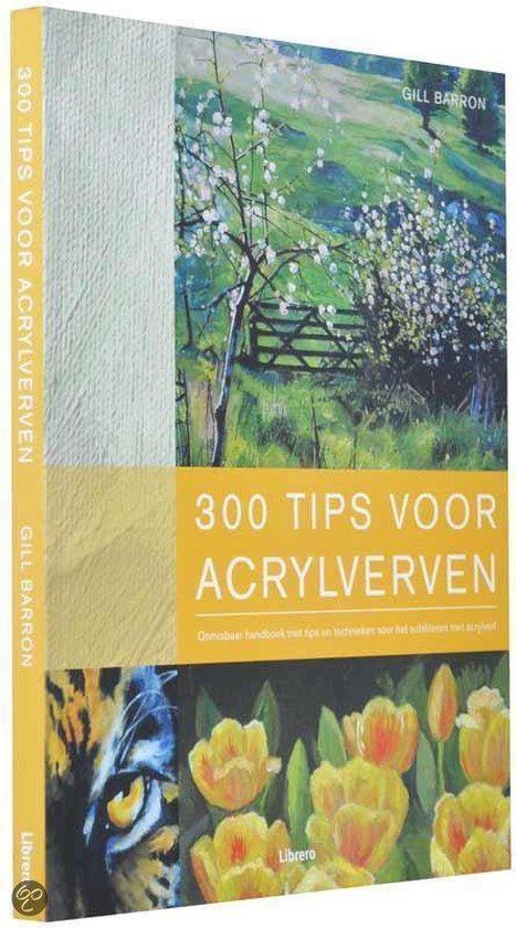 300 tips voor acrylverven 9789089980168, Boeken, Hobby en Vrije tijd, Zo goed als nieuw, Verzenden