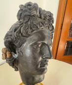sculptuur, Testa Cera di Apollo Belvedere - 30 cm - Was