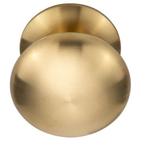 Voordeurknop BASIC LB65V Vast op Rozet PVD mat goud, Ophalen of Verzenden, Nieuw