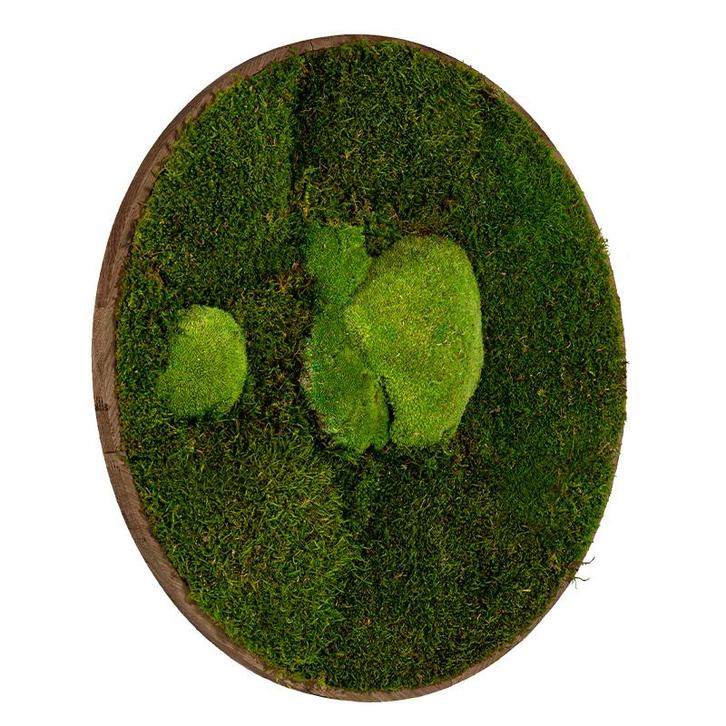 Mosschilderij Rond 40 cm Donker Eiken - Esbjerg, Huis en Inrichting, Woonaccessoires | Lijsten, Verzenden